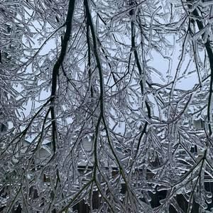 Meet your Posher, Don